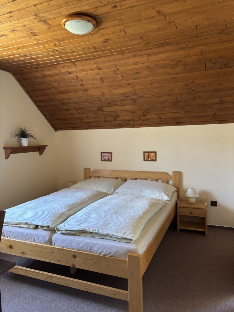 Dvojlůžkový pokoj - 2