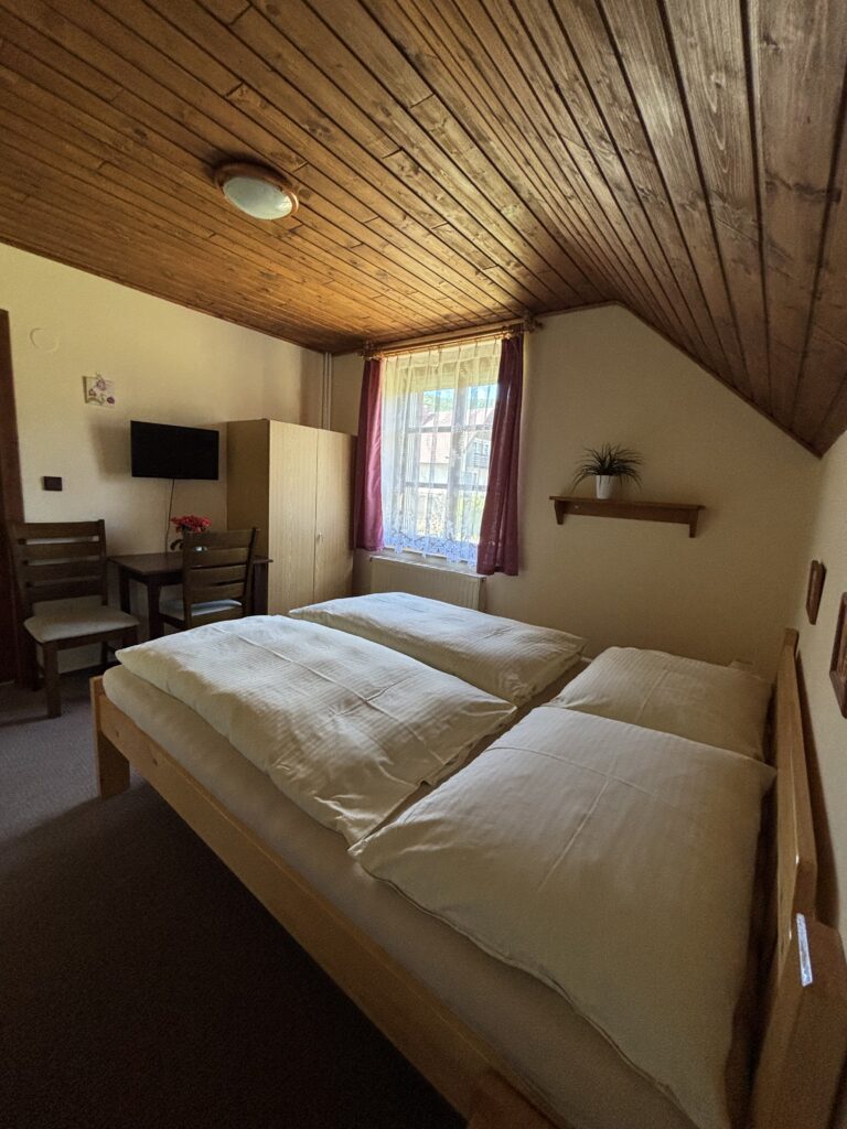 Dvojlůžkový pokoj - 4