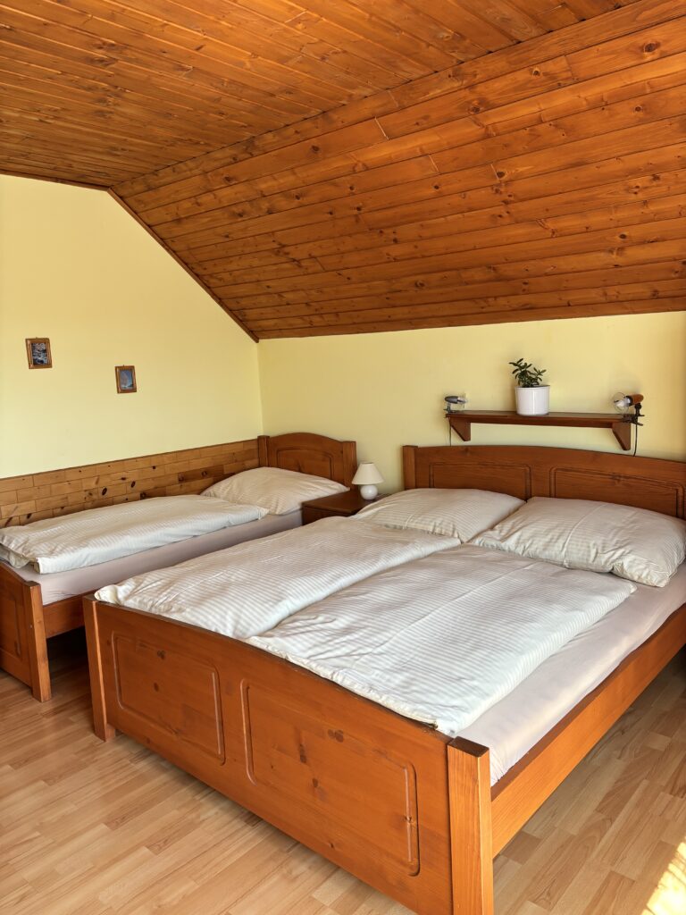 Čtyřlůžkový pokoj - 5