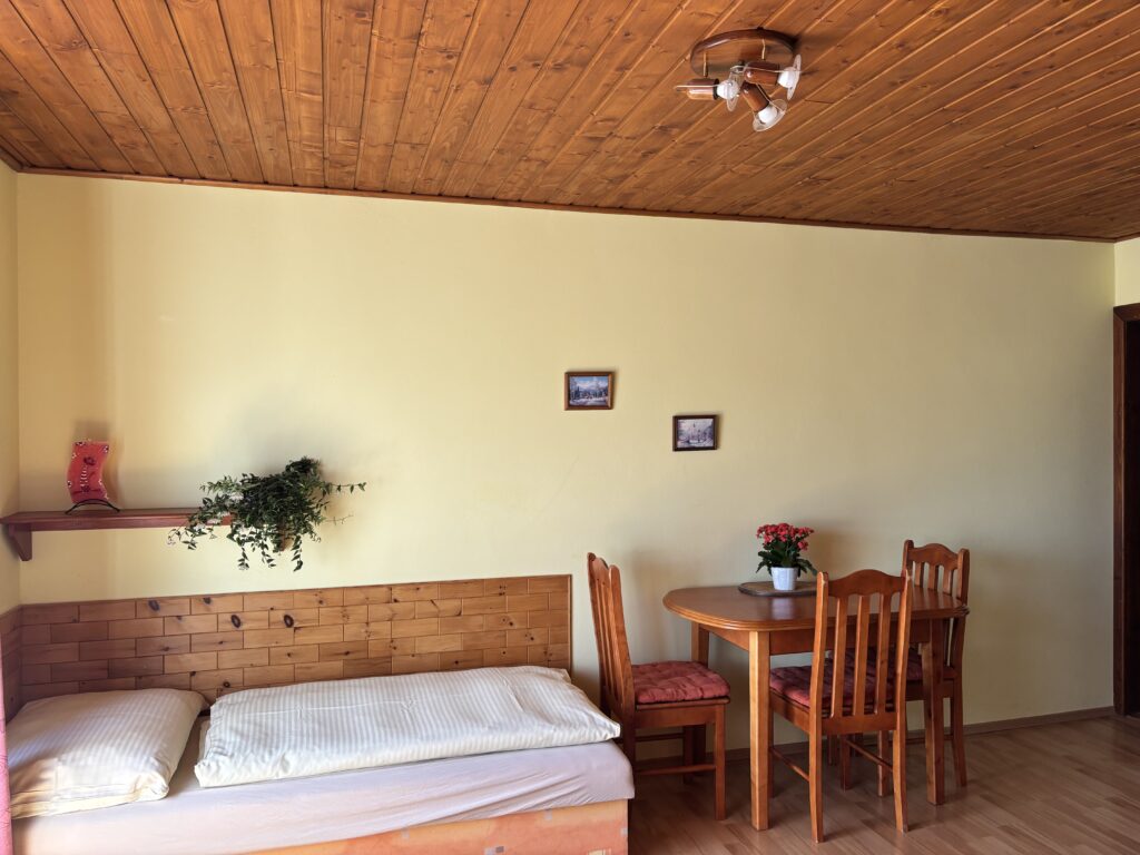 Čtyřlůžkový pokoj - 3