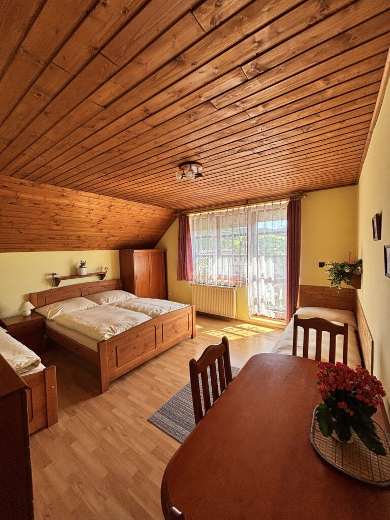 Čtyřlůžkový pokoj - 1