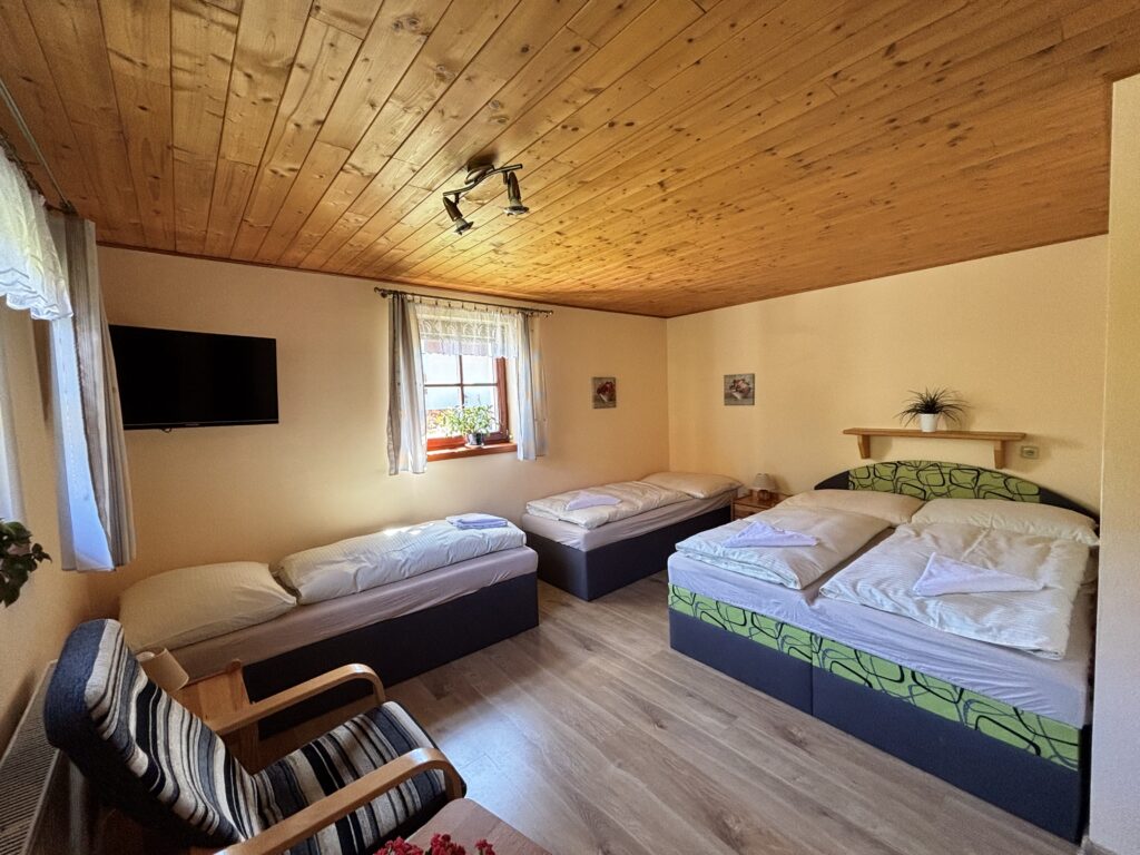 Dolní Apartmán - 8